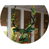 Northwest Vision Institute