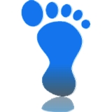 The Foot and Ankle Center LLC