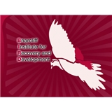 Briarcliff Institute For Recovery and Development