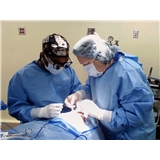 Relly Chern, M.D.
