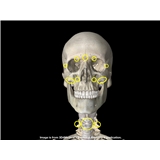 Zenergy Physical Therapy