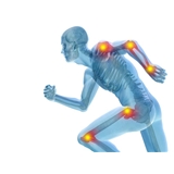 Premier Orthopaedics & Sports Medicine