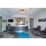 Bliss Dental Arts