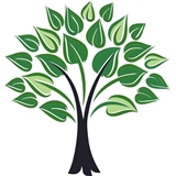 Twelve Oaks Pediatrics