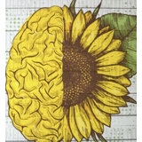 practice image