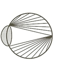 practice image