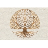 practice image