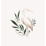 practice image