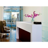 Midtown Dental Group