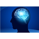 Premier Neurology, PA.