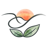 practice image
