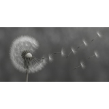practice image