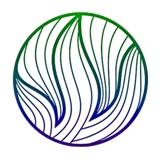 practice image