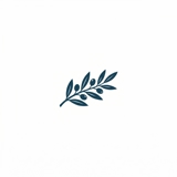 practice image